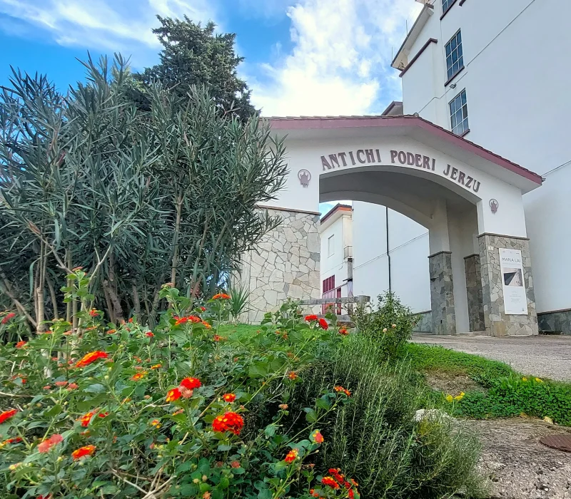 Les Antichi Poderi Dégustations de Vins en Ogliastra - STS Ogliastra